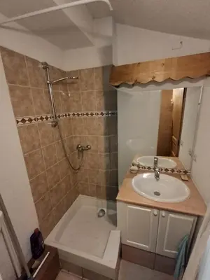 a bathroom with a sink and a shower at Les Contamines Montjoie in Le Cugnon