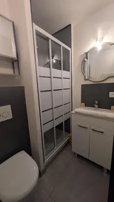 a bathroom with a toilet and a sink and a mirror at Studio La Vallée Blanche in Sallanches
