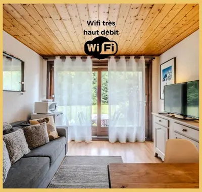 a living room with a couch and a tv at L'Aiguille de Chamonix I Appartement Les Praz in Chamonix-Mont-Blanc