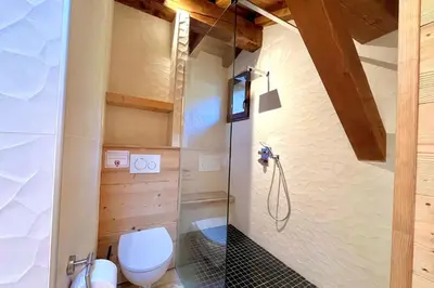 a bathroom with a toilet and a shower at Cozy chalet in Combloux near the slopes in Combloux