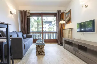 a living room with a couch and a tv at Résidence du Brévent - Chamonix Village in Chamonix-Mont-Blanc