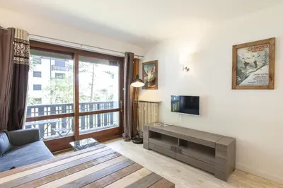 a living room with a couch and a tv and a window at Résidence du Brévent - Chamonix Village in Chamonix-Mont-Blanc