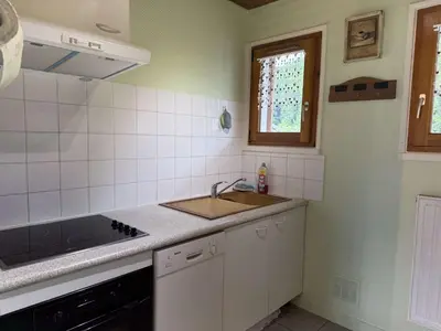 a kitchen with a sink and a counter top at Appartement aux Carroz d'Arâches, 4 pers, 39 m² - FR-1-572-327 in Arâches-la-Frasse