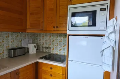 a kitchen with a white microwave and a refrigerator at Cozy apartment with pool and golf nearby in Megève