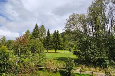 a park with trees and a fence in a field at Cozy apartment with pool and golf nearby in Megève