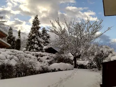 a yard covered in snow with trees and a house at Appartement cosy 2 pièces avec Wifi à Samoëns - FR-1-846-10 in Samoëns