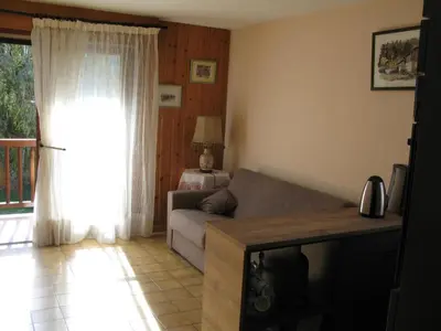 a living room with a couch and a window at Appartement à Samoëns avec Wifi, idéal pour 3 pers. - FR-1-846-23 in Samoëns