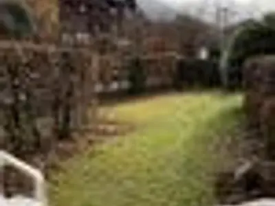 a view of a yard with grass and a fence at Studio cosy à Samoëns pour 4 personnes - FR-1-846-21 in Samoëns