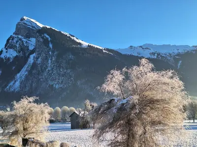 a snow covered mountain with a house and a tree at Appartement 4 pers. 1 ch. avec lave-linge à Samoëns - FR-1-846-37 in Samoëns
