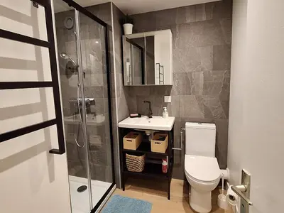 a bathroom with a toilet and a sink and a shower at Appartement 4 pers. 1 ch. avec lave-linge à Samoëns - FR-1-846-37 in Samoëns