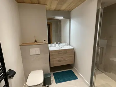 a bathroom with a sink and a shower at Appartement de standing 3 chambres au centre, pied de piste, parking et WIFI - FR-1-836-5 in Arâches-la-Frasse
