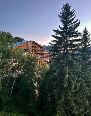 a large pine tree in front of a house at Cocon de charme à Megève, confort et vue in Megève