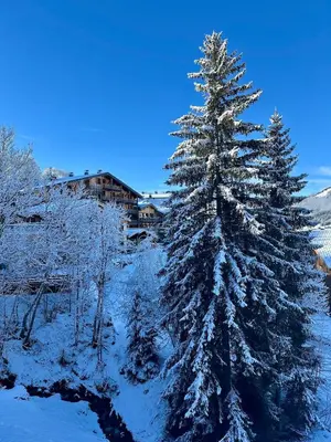 a snow covered christmas tree in a snowy field at Cocon de charme à Megève, confort et vue in Megève