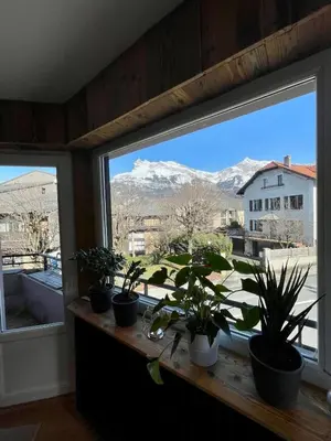a window with potted plants on it with a mountain view at BlackWood Lodge in Saint-Gervais-les-Bains