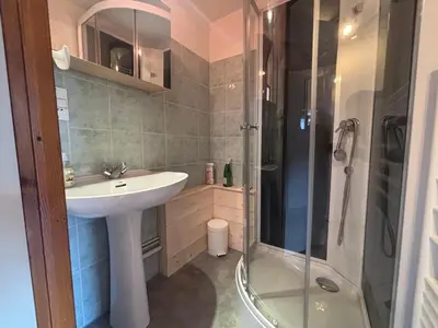 a bathroom with a sink and a shower at Charmant T2 Mezzanine au centre - Animaux acceptés - FR-1-624-187 in Samoëns