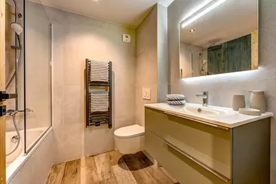 a bathroom with a sink and a toilet and a shower at Chalet du Cristal Blanc in Chamonix-Mont-Blanc