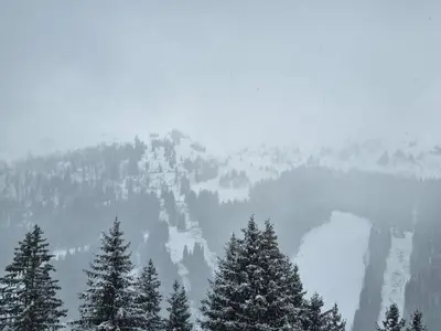 a mountain covered in snow with trees in the foreground at Studio 4 pers avec balcon au pied des pistes - FR-1-687-117 in Arâches-la-Frasse