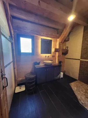 a bathroom with a sink in a wooden cabin at La Sapone et Grange de Bovère in Sixt
