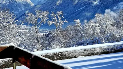 a view of a snow covered mountain with trees at Cristaux Studio, with view to Mont Blanc in Combloux