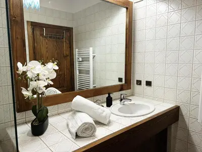 a bathroom with a sink and a mirror and flowers at F1 tout confort Megève skis aux pieds in Megève