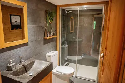 a bathroom with a toilet and a shower and a sink at Maison nature, ski, randos in Passy