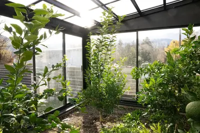 a greenhouse with plants and windows in it at Maison nature, ski, randos in Passy