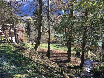 a group of trees on a hill in a park at Petite Floria in Les Houches