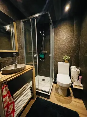 a bathroom with a shower with a toilet and a sink at Cimes Lodge - Wood & Mountain in Demi-Quartier