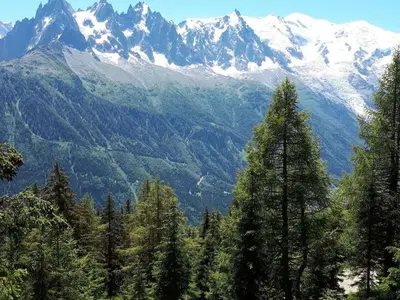 a group of trees with mountains in the background at Spacieux appartement 96 m² à Flaine Hameau avec piscine et parking - FR-1-687-119 in Arâches-la-Frasse
