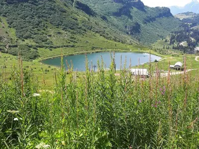 a lake in the middle of a field with mountains at Spacieux appartement 96 m² à Flaine Hameau avec piscine et parking - FR-1-687-119 in Arâches-la-Frasse