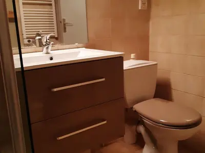 a bathroom with a sink and a toilet and a mirror at Studio cosy avec terrasse, 4 pers, parking privatif - FR-1-836-35 in Arâches-la-Frasse