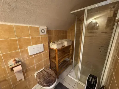 a bathroom with a shower and a toilet at Appartement de charme dans chalet rénové - Animaux et parking - FR-1-836-54 in Arâches-la-Frasse