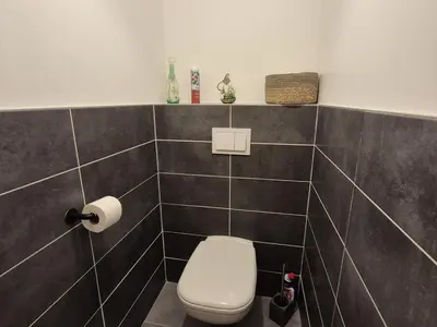 a bathroom with a white toilet in a room at Appartement neuf 2 chambres avec parking, rez-de-jardin - FR-1-836-52 in Arâches-la-Frasse