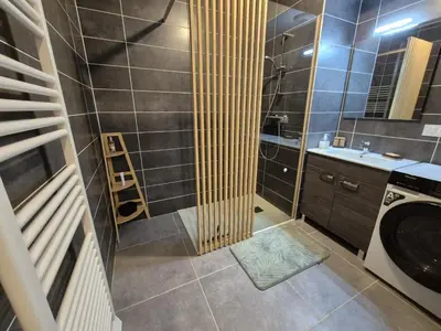 a bathroom with a sink and a washing machine at Appartement neuf 2 chambres avec parking, rez-de-jardin - FR-1-836-52 in Arâches-la-Frasse