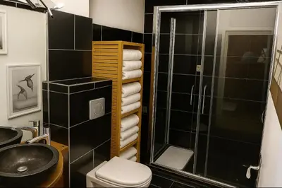 a bathroom with a shower and a toilet and a sink at Bright apartment for 6 people in Chamonix in Chamonix-Mont-Blanc