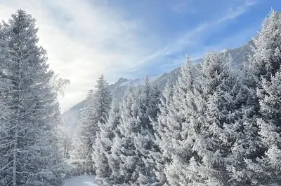 a snowy forest with snow covered trees and mountains at Bright apartment for 6 people in Chamonix in Chamonix-Mont-Blanc