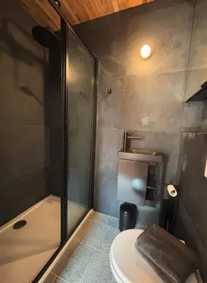 a bathroom with a shower and a toilet and a sink at New Chalet Facing The Aiguilles De Chamonix in Les Houches