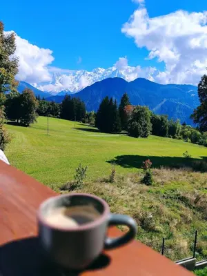 a cup of coffee sitting on a table with a view of a field at La Tanière des Cimes, sauna privé in Passy