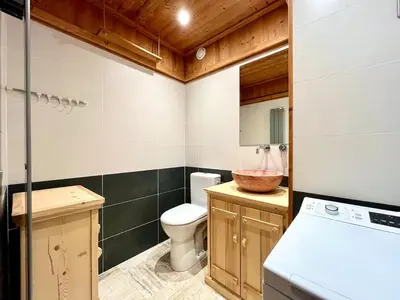 a bathroom with a toilet and a sink at The Balcony of the Giant in Combloux in Combloux