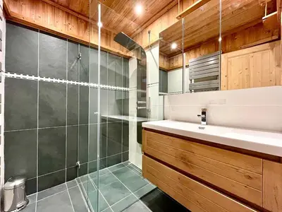 a bathroom with a shower and a sink at The Balcony of the Giant in Combloux in Combloux
