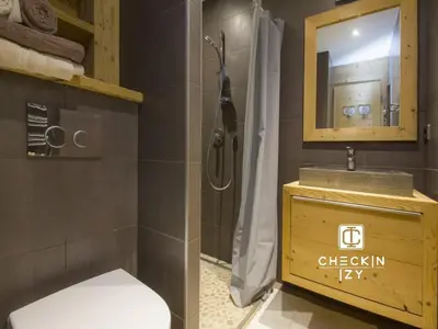 a bathroom with a shower and a toilet and a mirror at Studio cabine cosy Megève parking gratuit in Megève