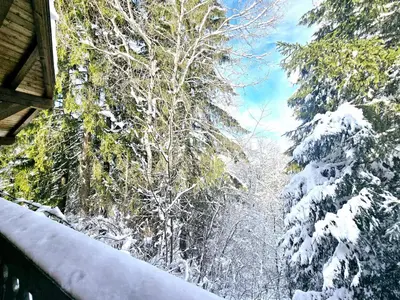 a view of a snow covered forest with trees at Charming sunny duplex in Megève