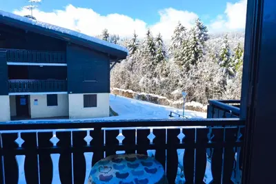 a balcony with a view of snow covered trees at Charming apartment with mezzanine in the mountain in Demi-Quartier
