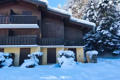 a house with snow on the ground in front of it at Charming apartment with mezzanine in the mountain in Demi-Quartier
