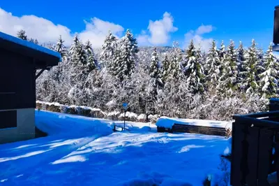 a snow covered yard with trees in the background at Charming apartment with mezzanine in the mountain in Demi-Quartier