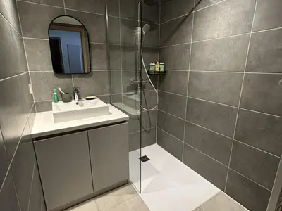 a bathroom with a shower and a sink and a mirror at Appartement de standing 2 chambres, Wi-Fi, animaux admis, parking - FR-1-836-56 in Arâches-la-Frasse