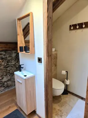 a bathroom with a toilet and a sink at Les Clarines des Contamines in Les Contamines-Montjoie