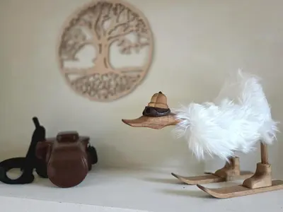a shelf with a hat and a camera and other items at Les Clarines des Contamines in Les Contamines-Montjoie