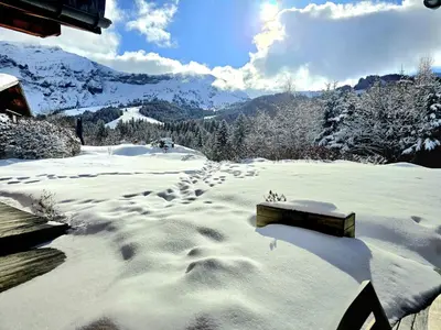 a group of animals walking in the snow at Chalet du Lay Côte 2000 ski in ski out in Megève