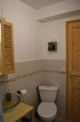 a bathroom with a white toilet and a sink at Appartement aux portes de St Gervais in Saint-Gervais-les-Bains